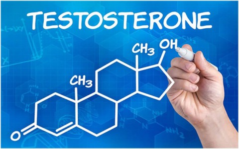 Cỏ Cari – dược liệu quý giúp tăng testosterone và giải quyết tình trạng xuất tinh sớm